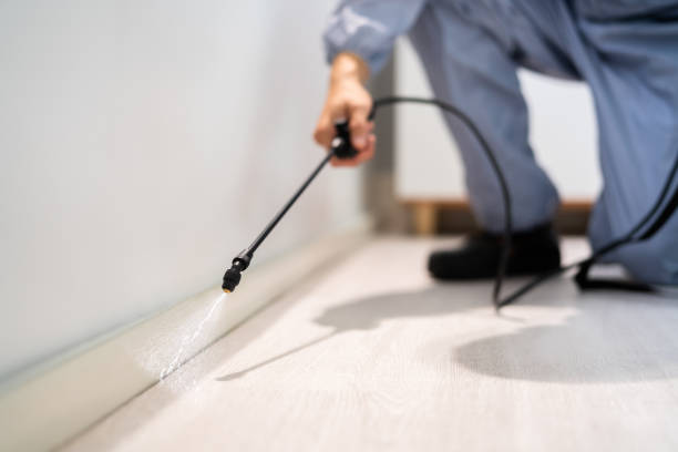 Licensed Pest Control service in Cando, ND - Show Me Pest Control