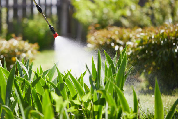 24/7 Emergency Wasp Removal experts in Cando, ND
