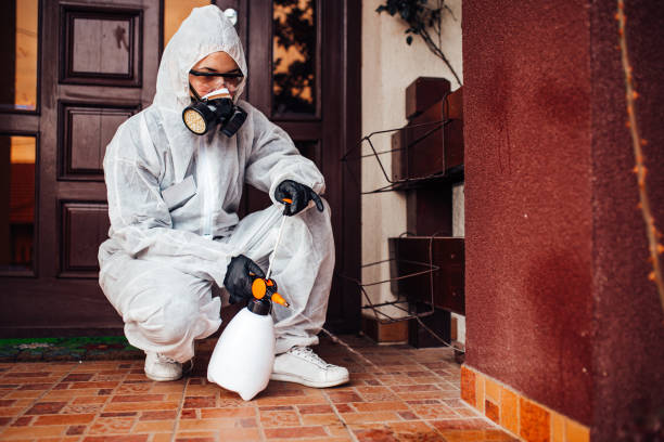 Reliable Wasp Removal contractor in Cando, ND by Show Me Pest Control